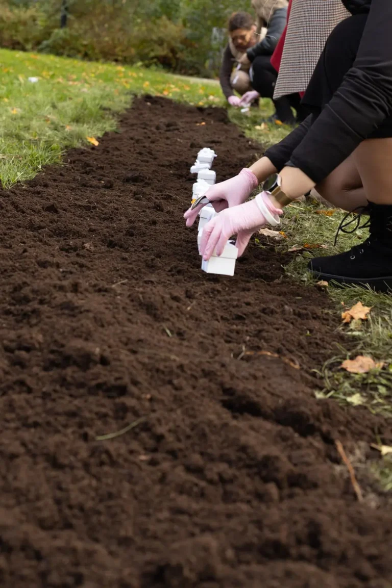 Białe pudełeczka ułożone na grządce