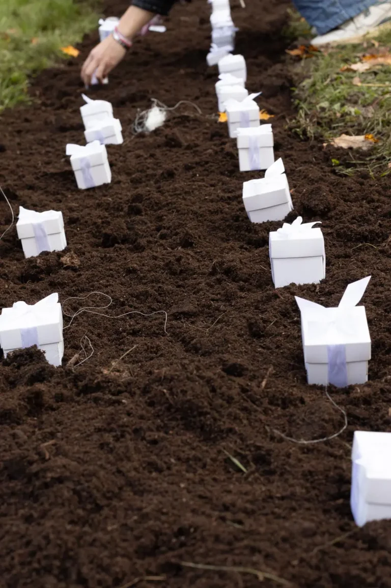 Białe pudełeczka ułożone na grządce