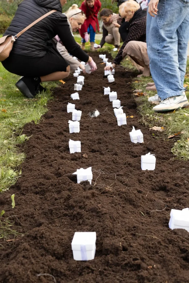 Białe pudełeczka ułożone na grządce