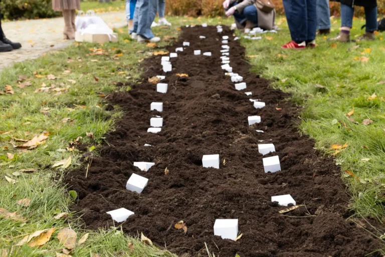 Białe pudełeczka na grządce